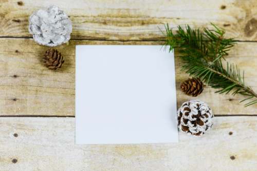 christmas holiday mockup green leaves mockup holiday
